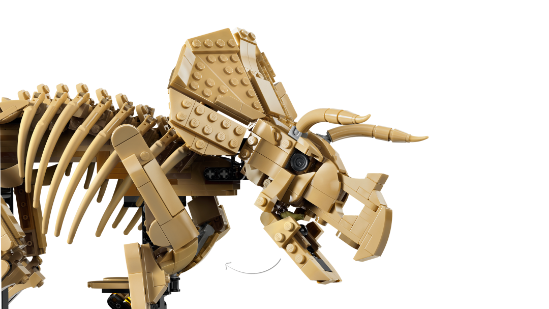 77985 | LEGO® Jurassic World™ Dinosaur Fossils: Triceratops
