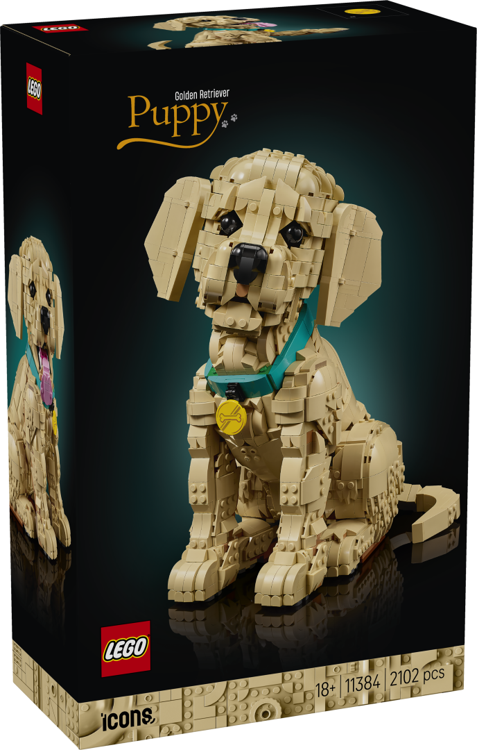 11384 | LEGO® ICONS™ Golden Retriever Puppy